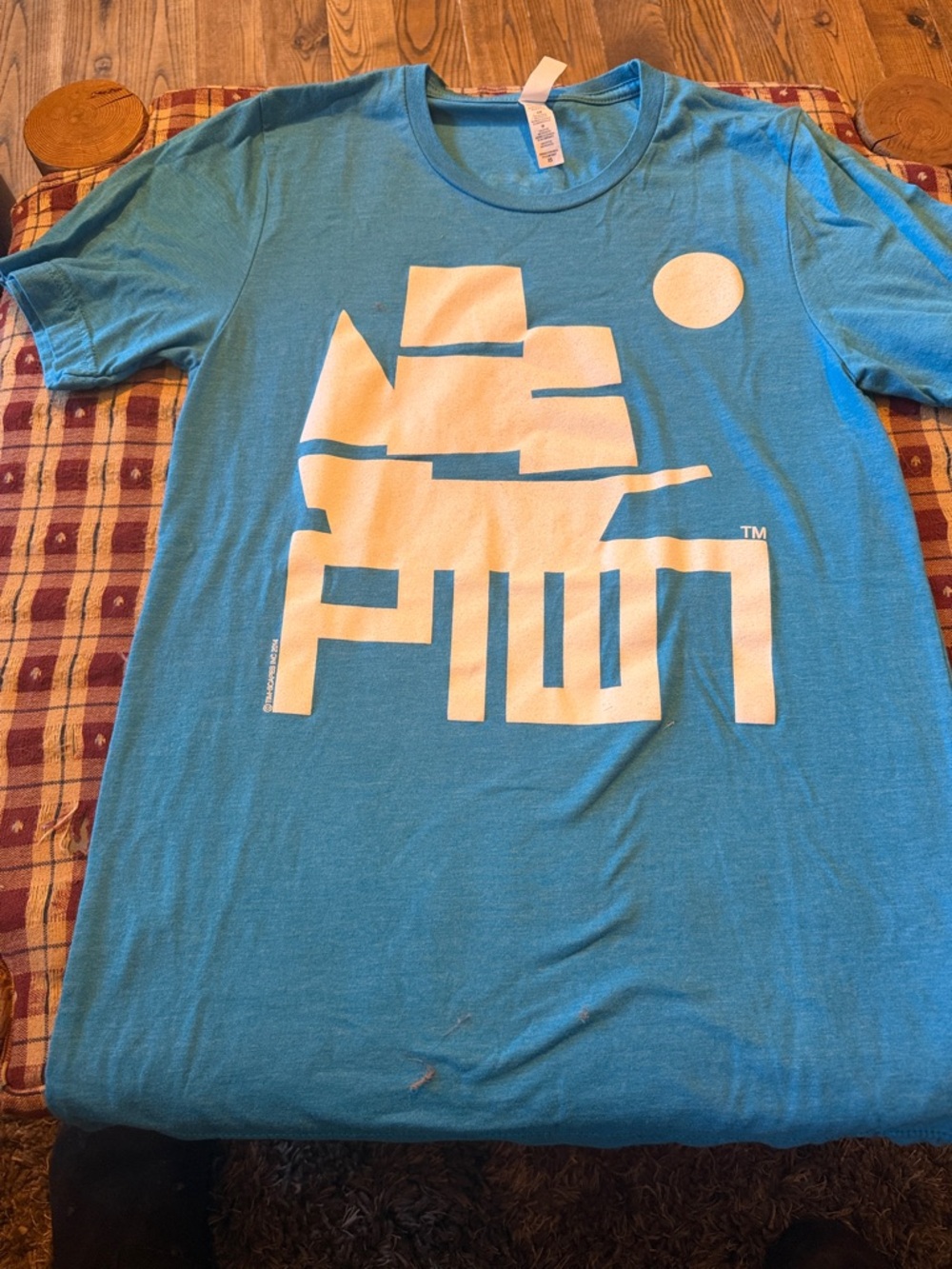 Men's Short-Sleeve P-town Graphic Tee in Teal Blue